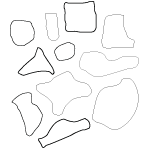 cabinet de curiosités